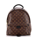 Backpack Palm Springs MM Brown Monogram Canvas