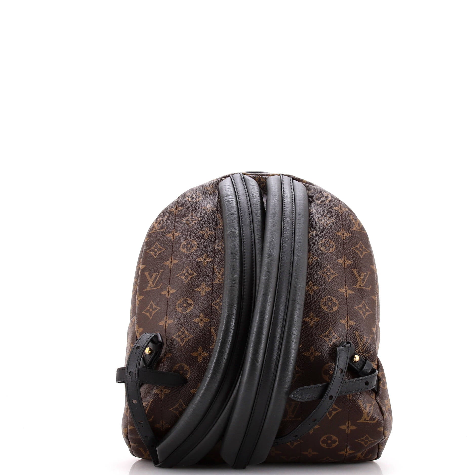 Backpack Palm Springs MM Brown Monogram Canvas