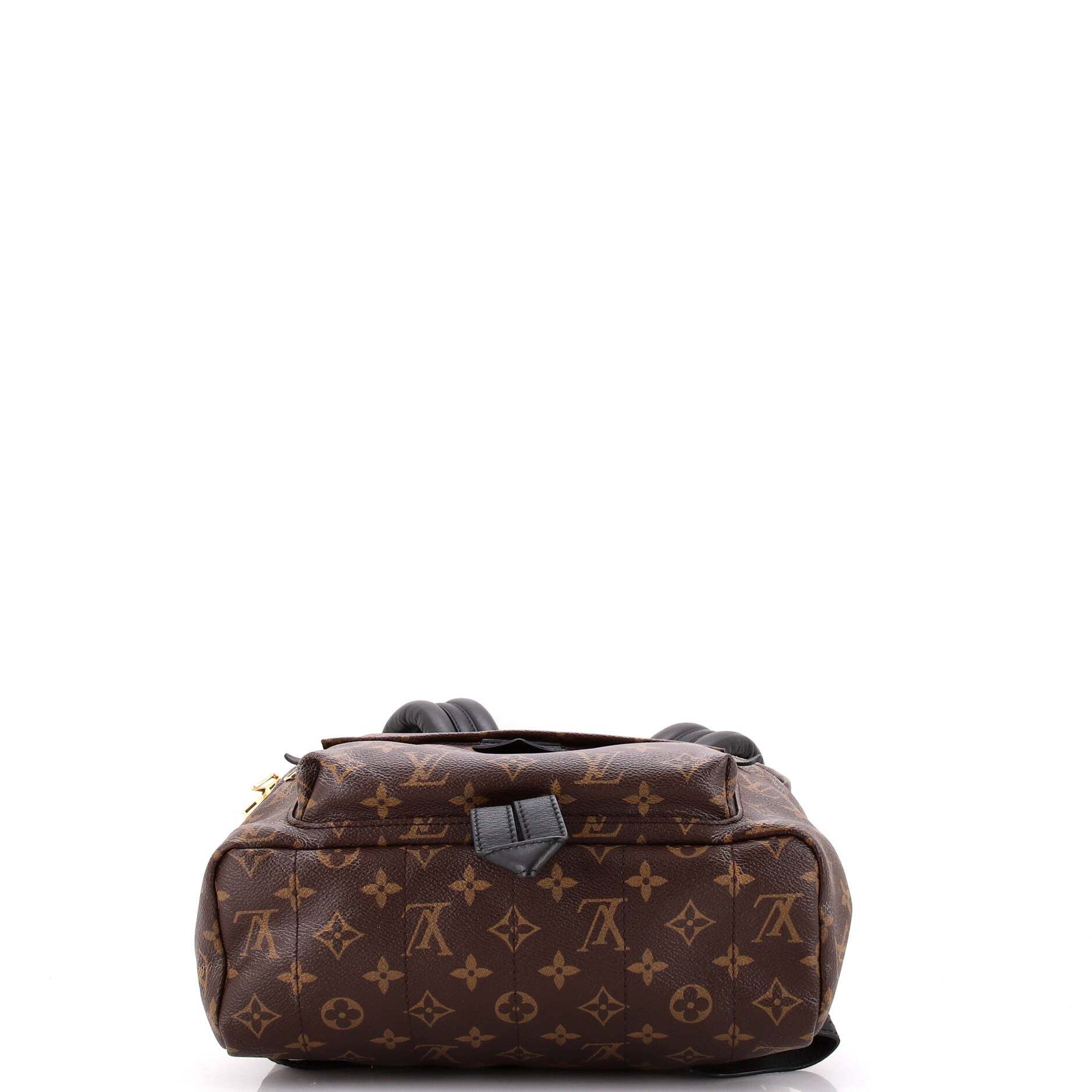 Backpack Palm Springs MM Brown Monogram Canvas