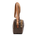 Crossbody Triomphe Camera Brown Macadam Canvas