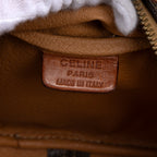 Crossbody Triomphe Camera Brown Macadam Canvas