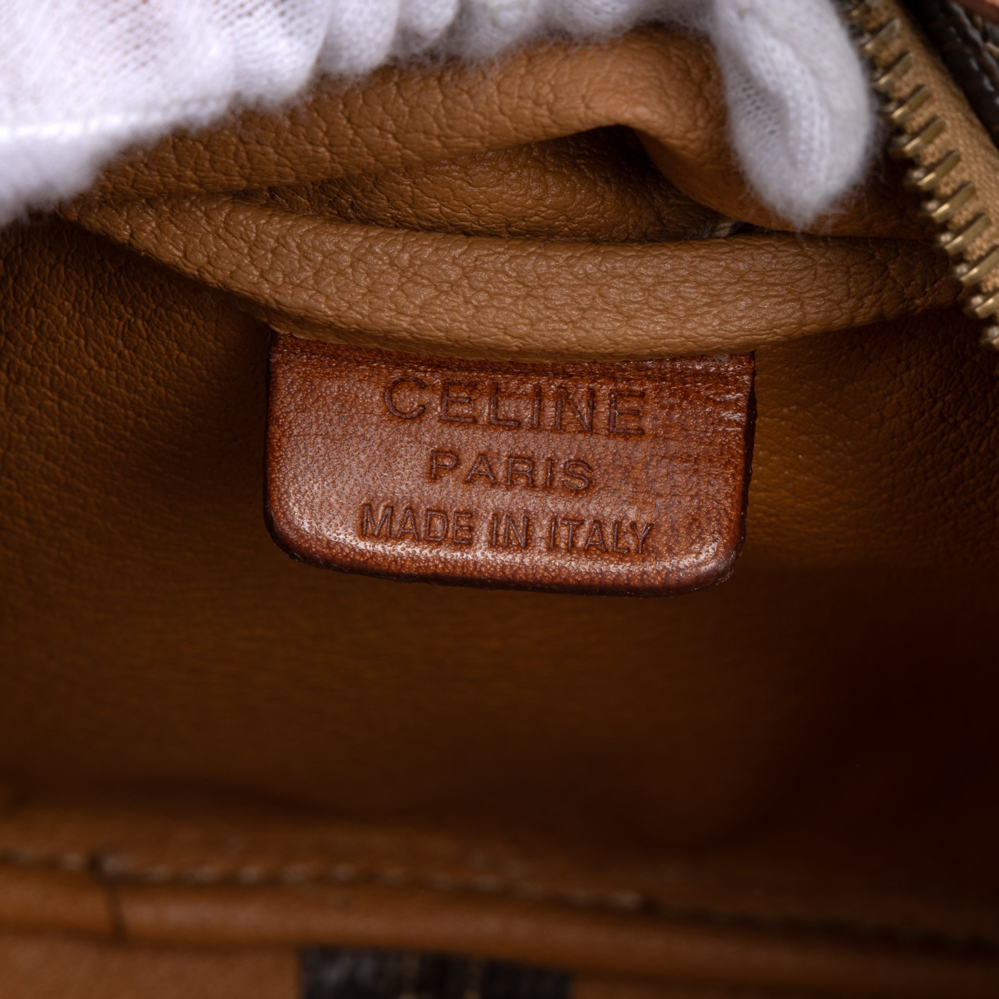 Crossbody Triomphe Camera Brown Macadam Canvas