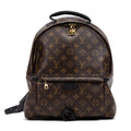 Backpack Palm Springs MM Brown Monogram Canvas