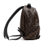Backpack Palm Springs MM Brown Monogram Canvas