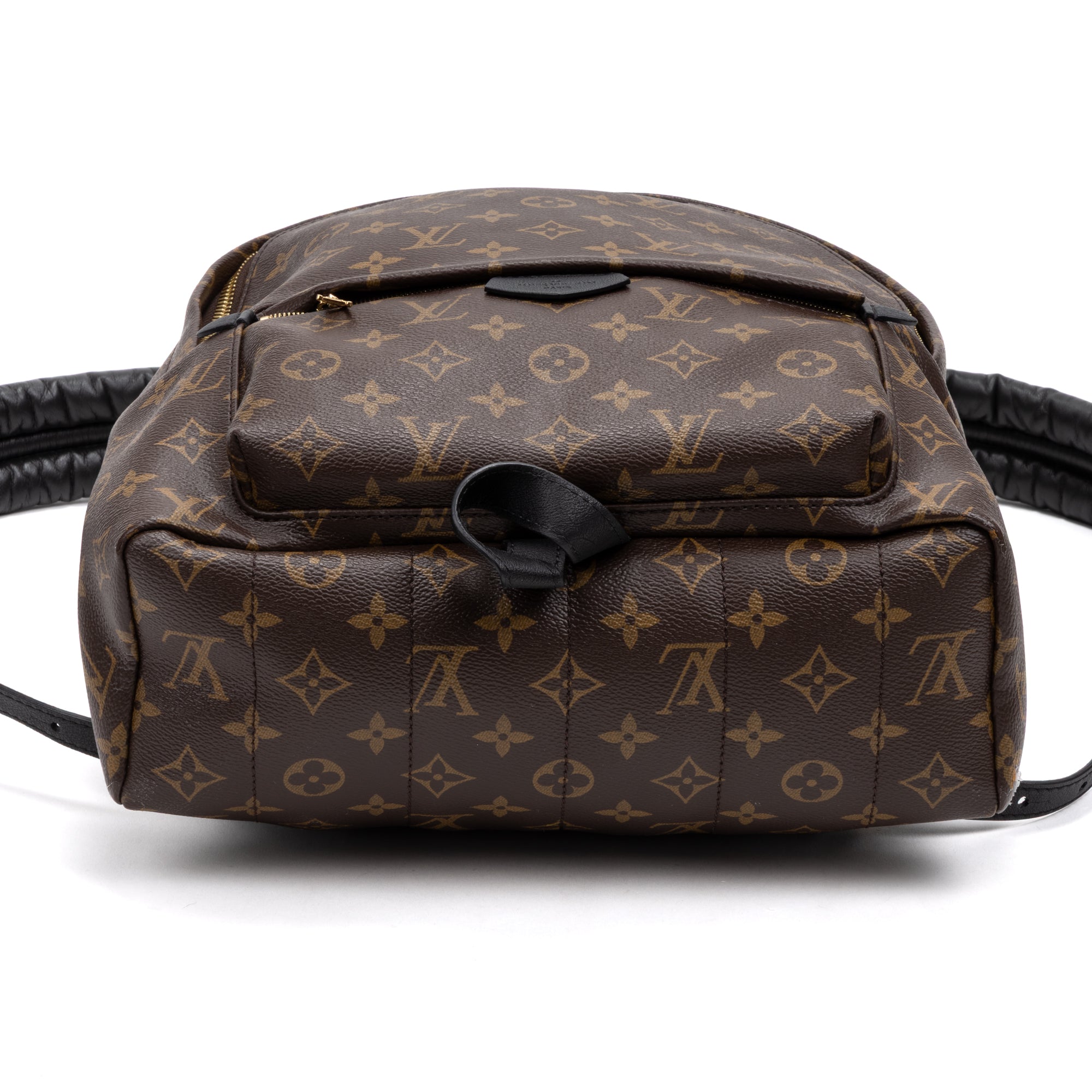 Backpack Palm Springs MM Brown Monogram Canvas