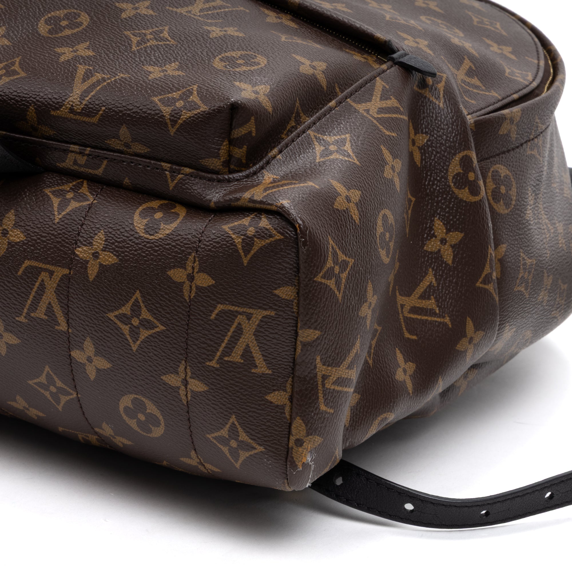 Backpack Palm Springs MM Brown Monogram Canvas