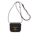 Shoulder Bag Triomphe Camera Bag Mini Brown Triomphe Coated Canvas