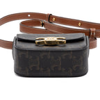 Shoulder Bag Triomphe Camera Bag Mini Brown Triomphe Coated Canvas