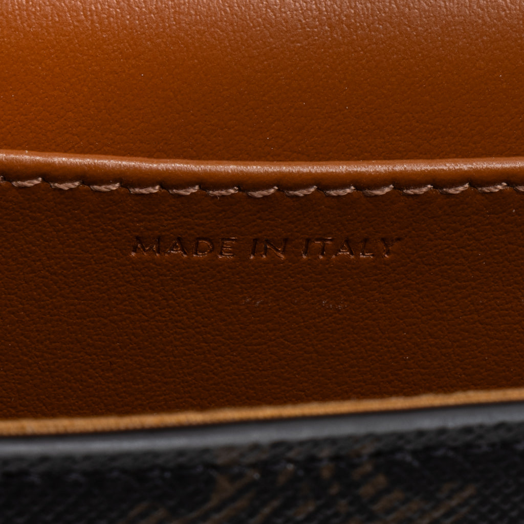 Shoulder Bag Triomphe Camera Bag Mini Brown Triomphe Coated Canvas