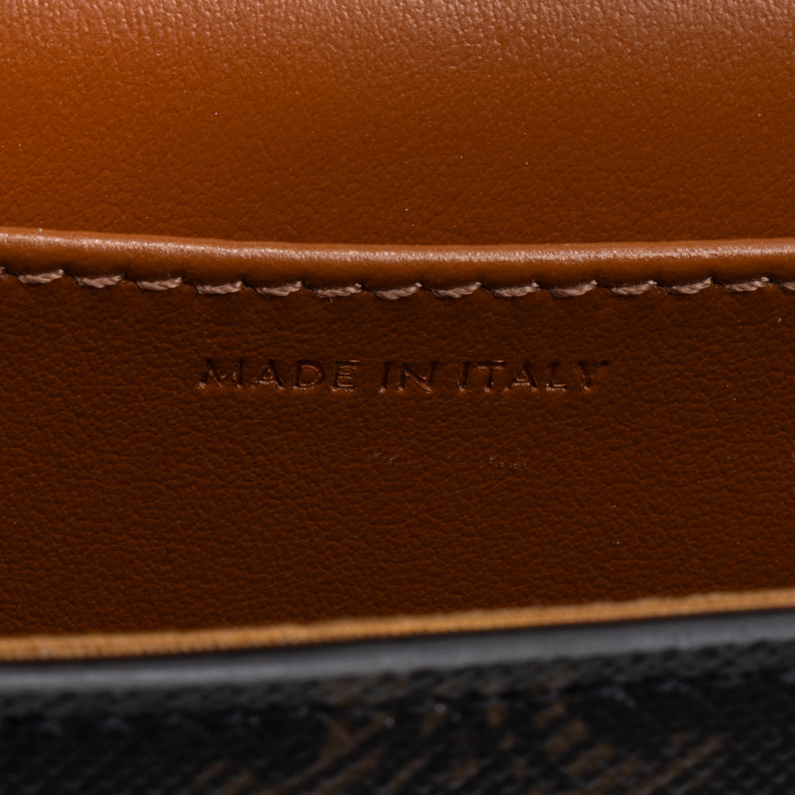Shoulder Bag Triomphe Camera Bag Mini Brown Triomphe Coated Canvas