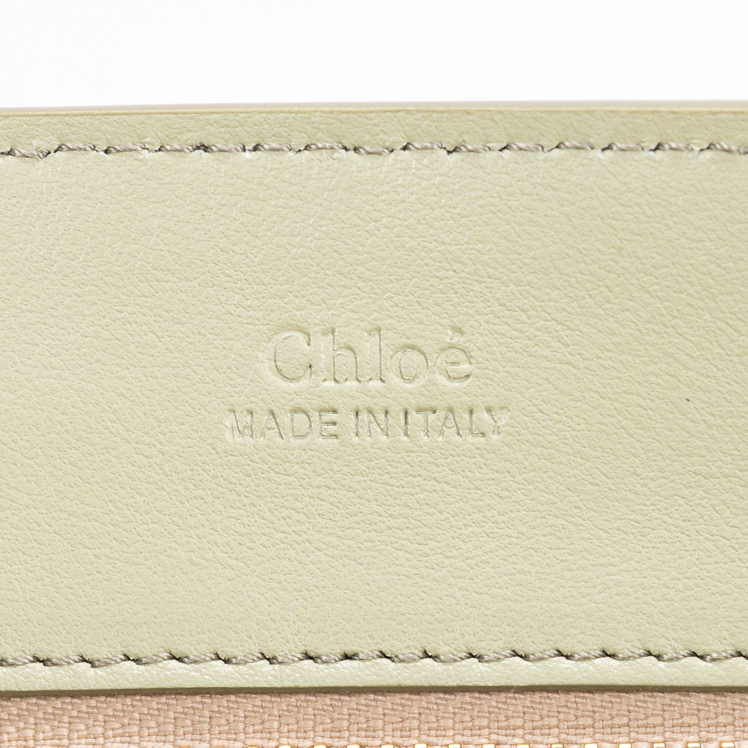 Bandolera Tess Day Bag Piel de Becerro Verde Claro